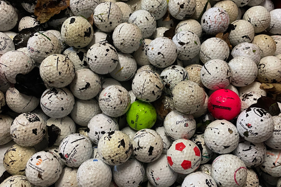 Lakeballs werden bei ReGolfed von Hand gewaschen und sortiert